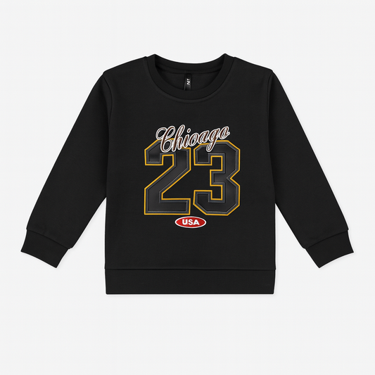 Boys Full Sleeve Fleece Sweatshirt (JB-1111)