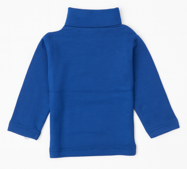 Boys High-Neck Sweater (Blue)